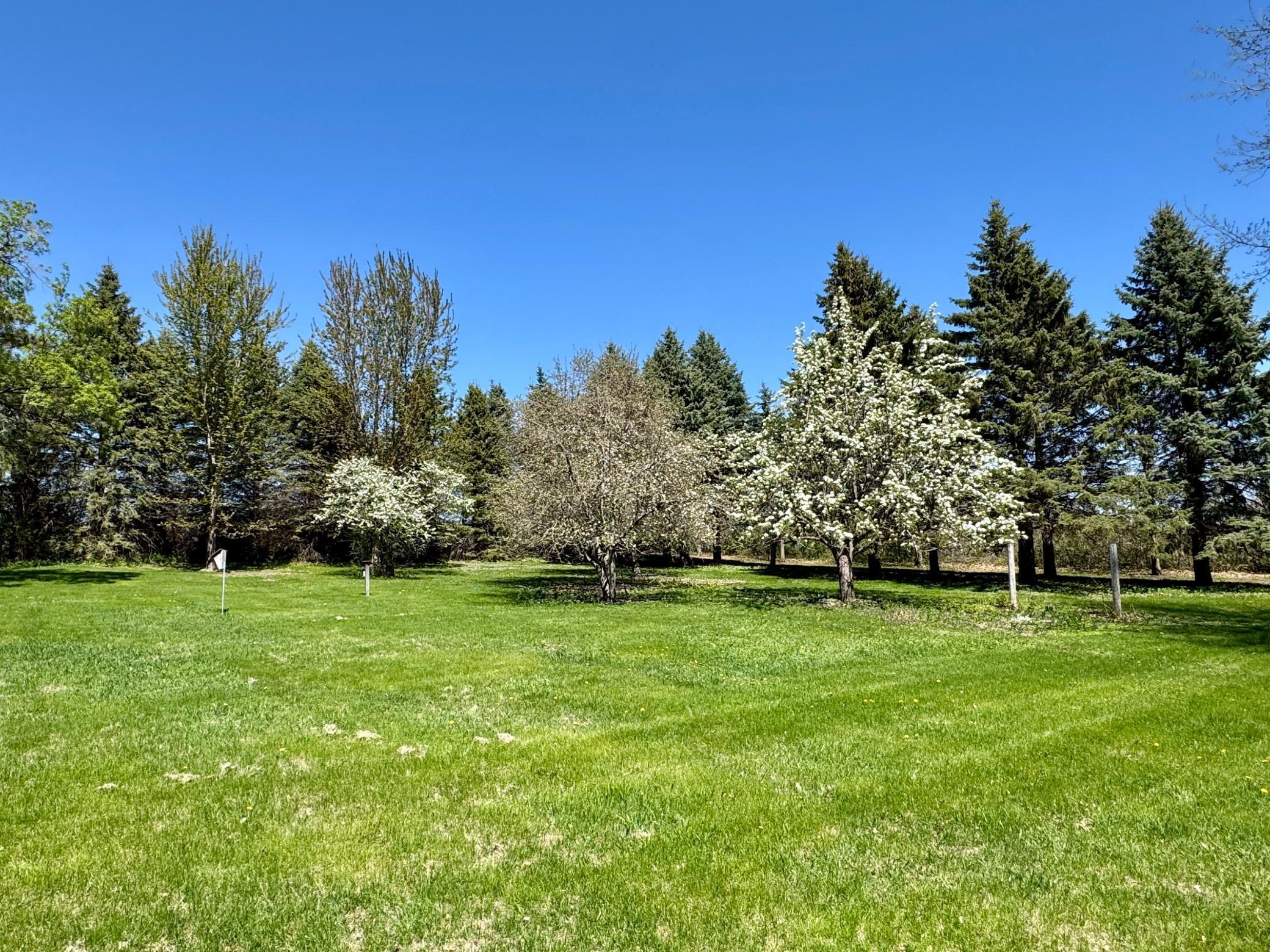 12326 Falk Trail