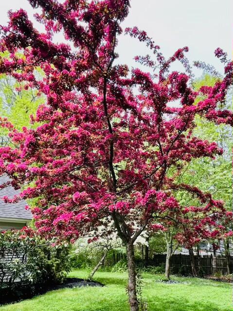 Kennebunk