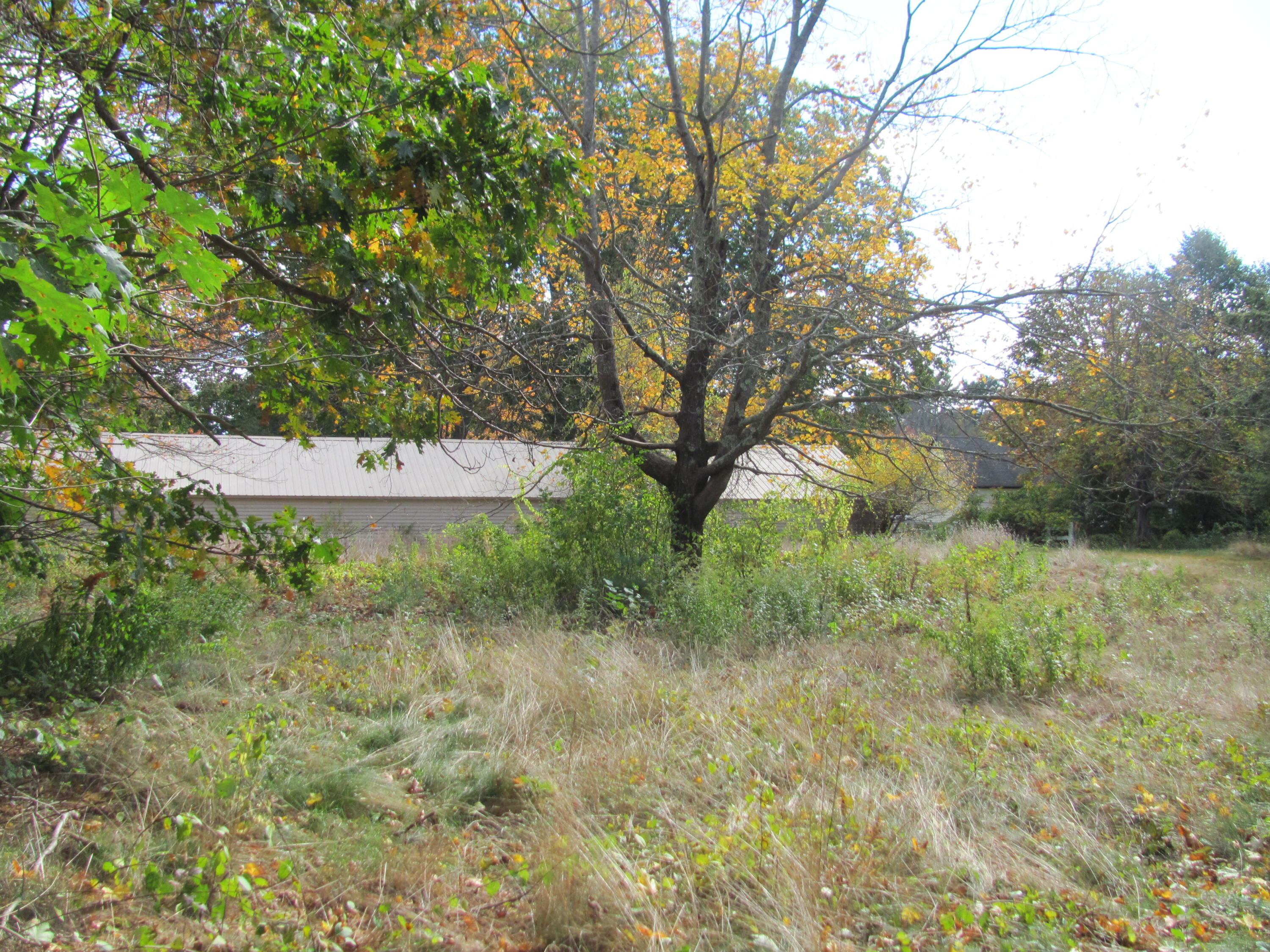 11 Colonial Drive