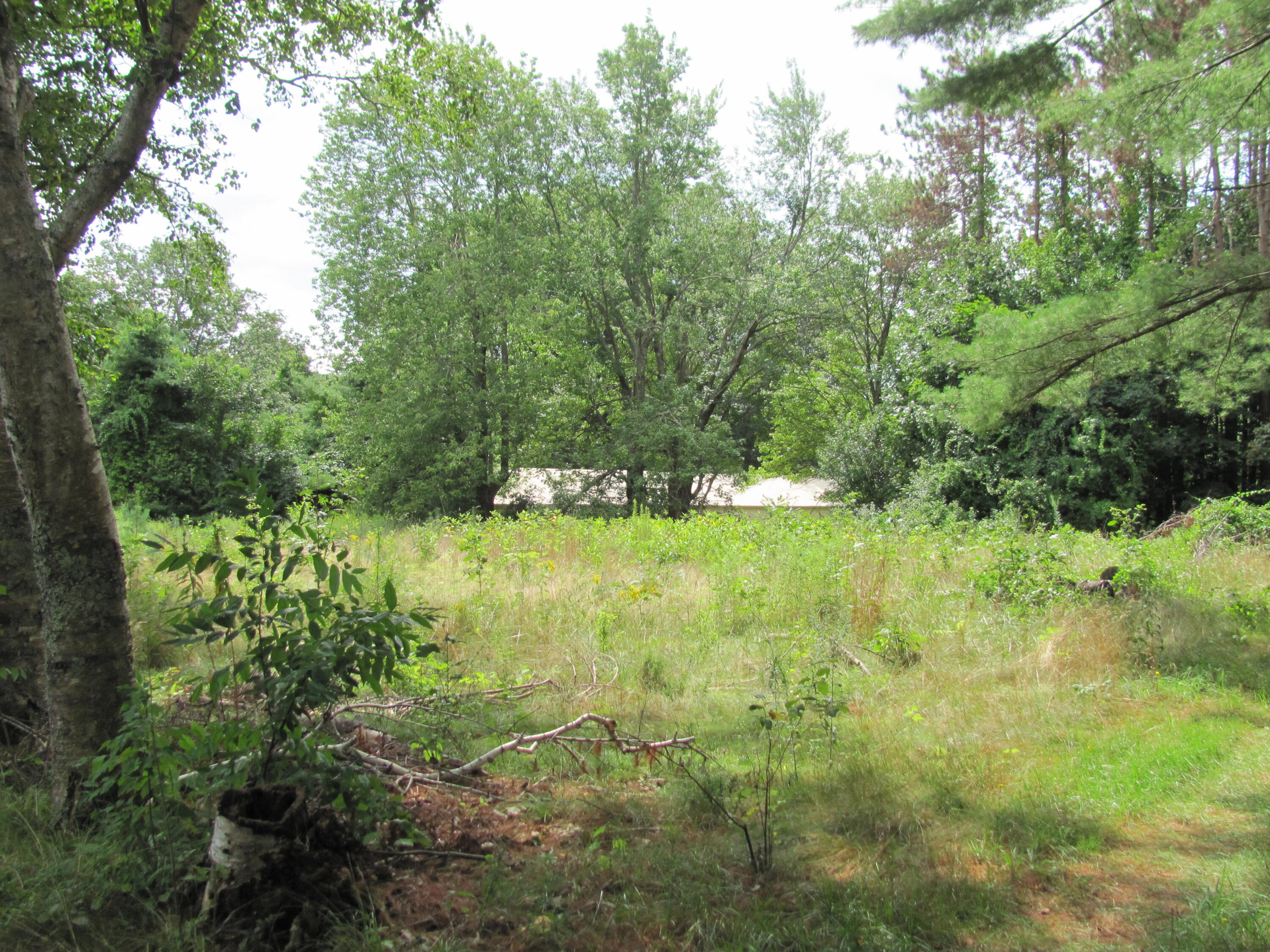 11 Colonial Drive