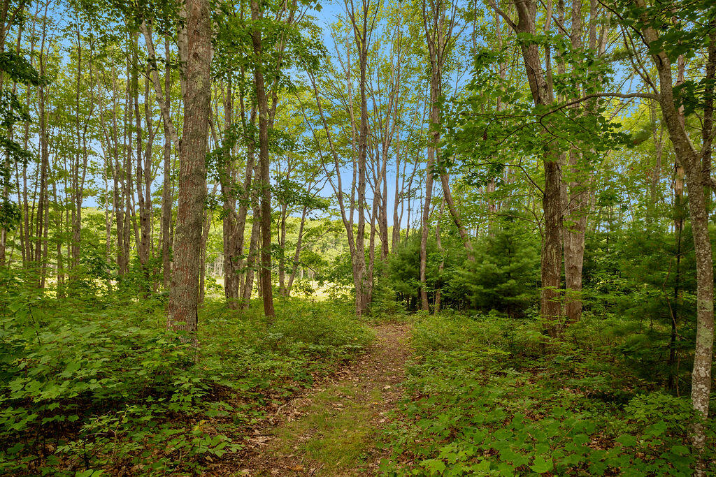 8 Shore Road