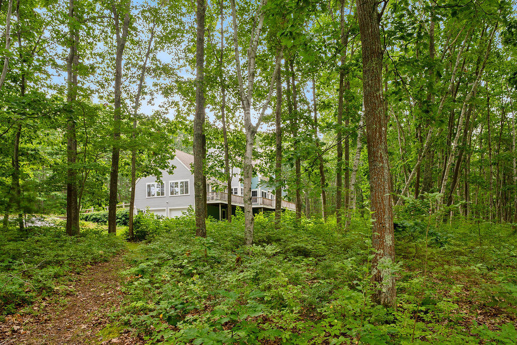 8 Shore Road