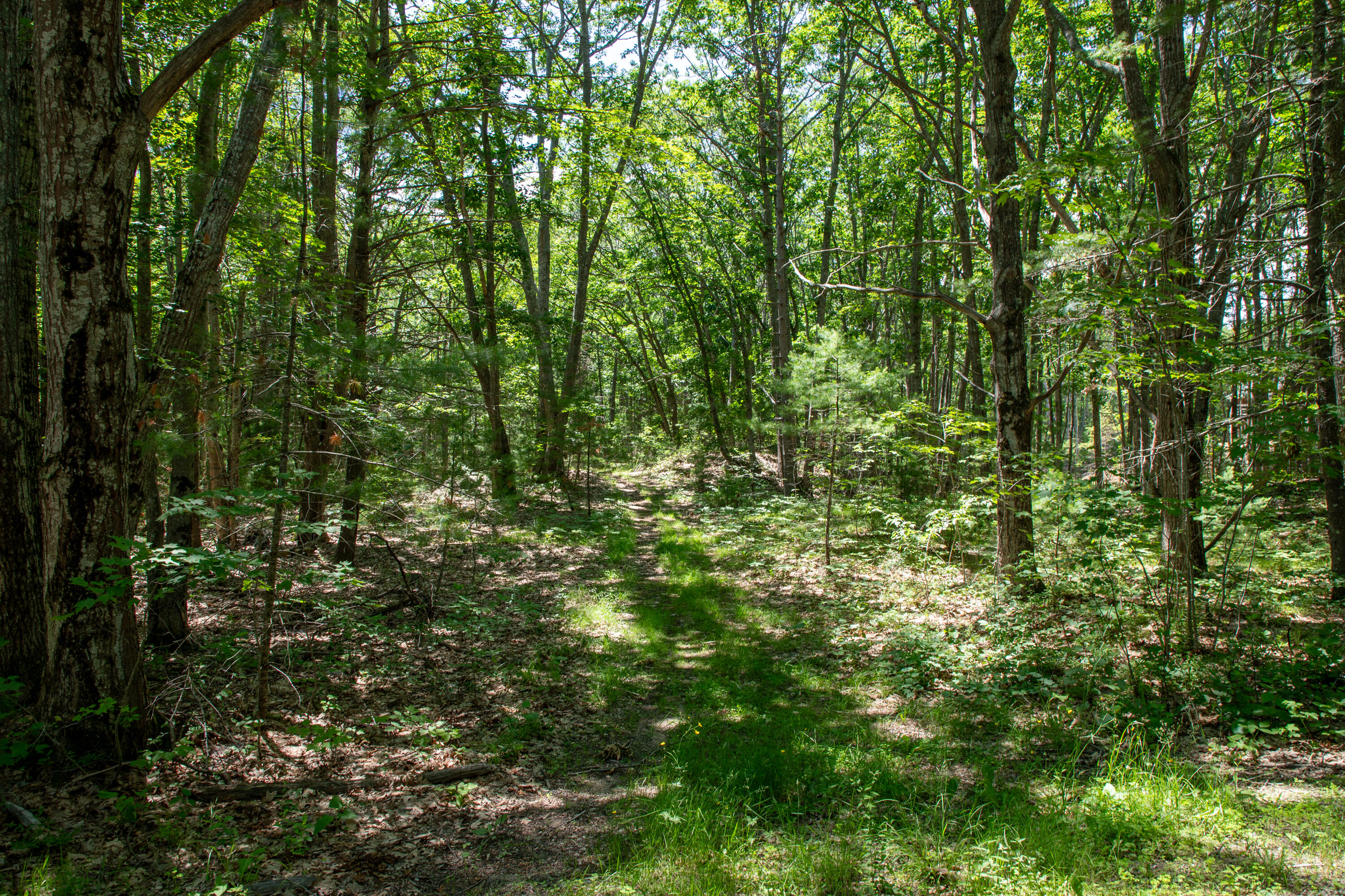0 Clement Huff Road