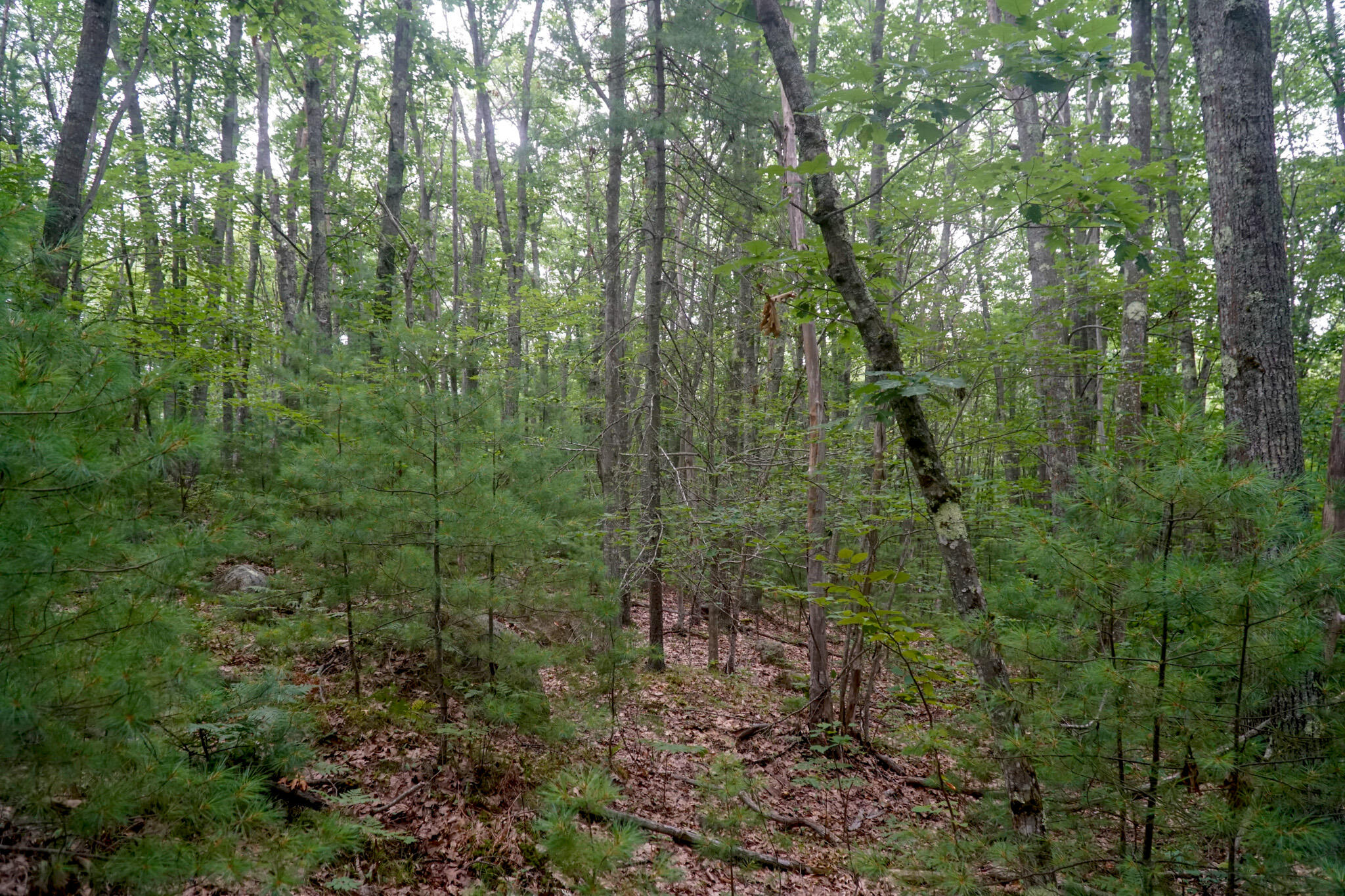 TBD Moose Rocks Road