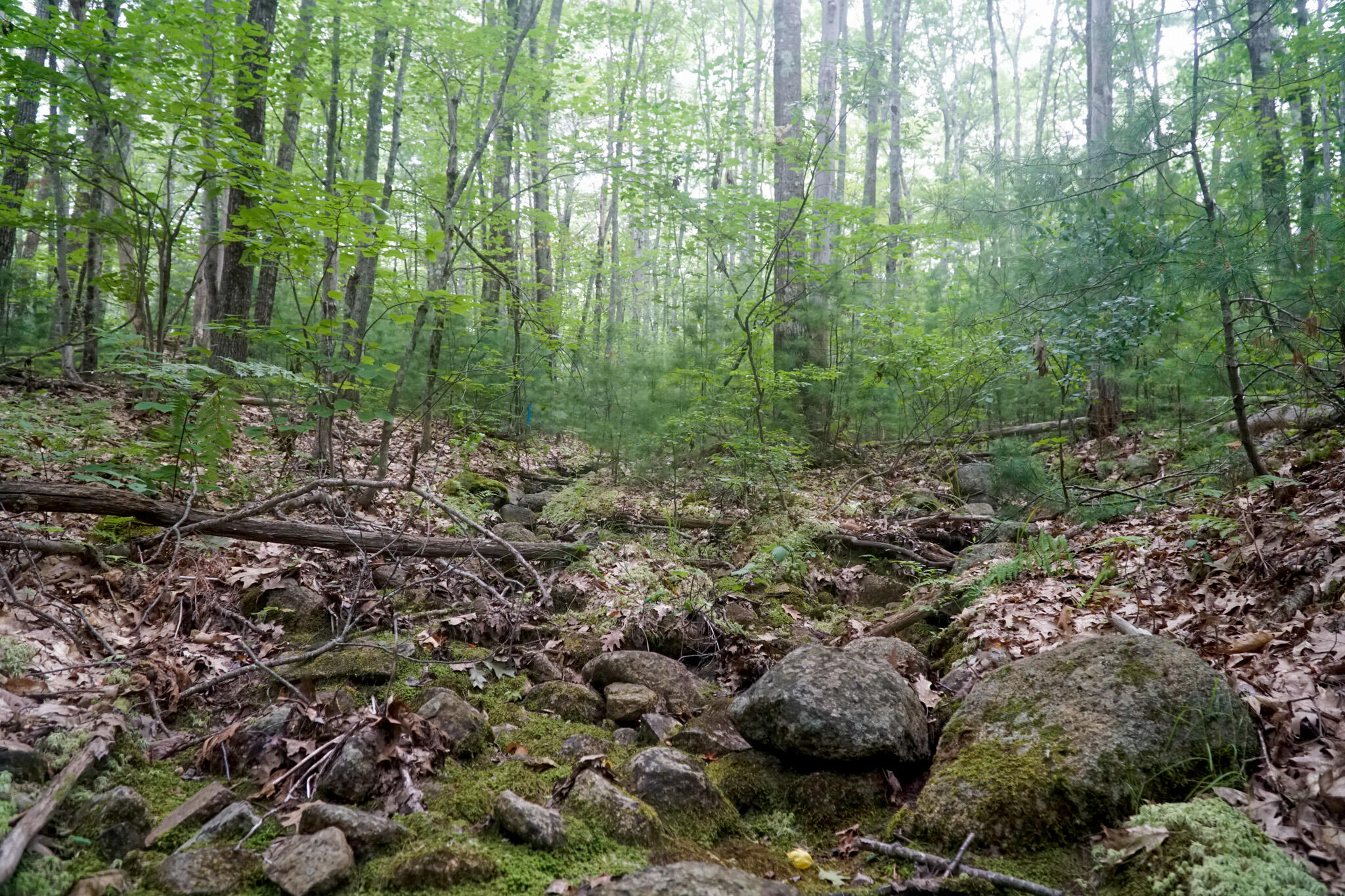 TBD Moose Rocks Road Road