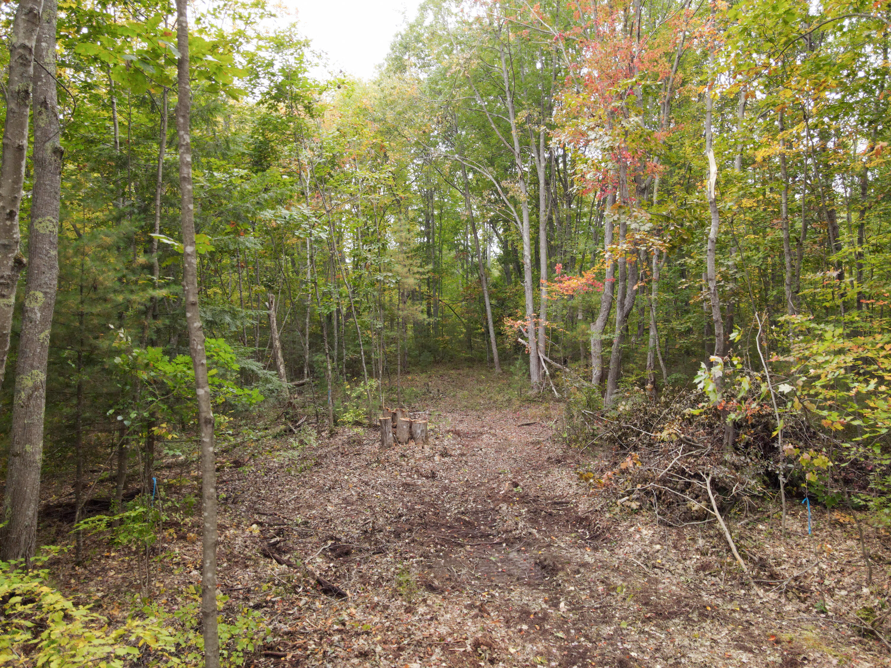 10 Birdie Lane