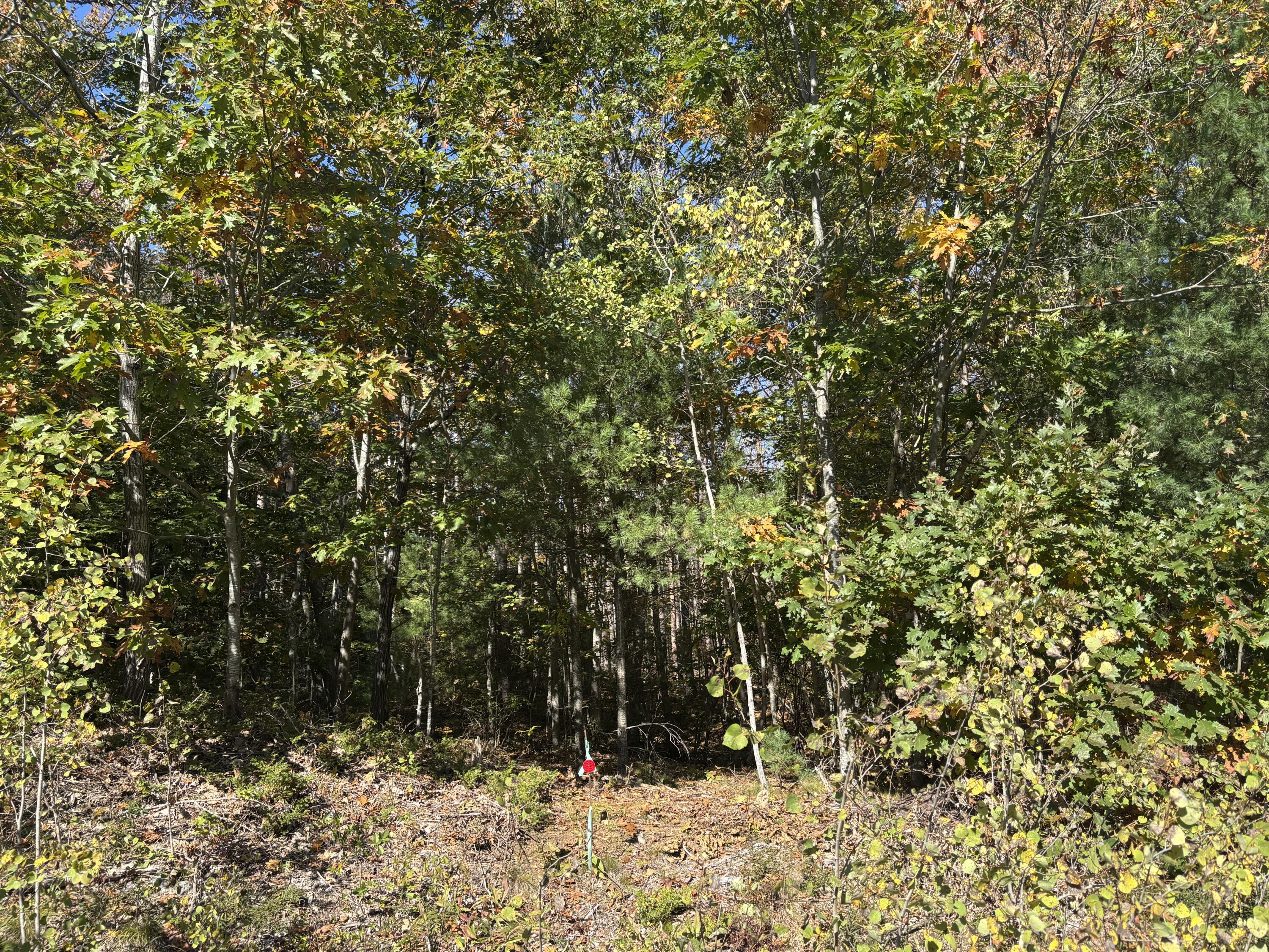 TBD Mills Road