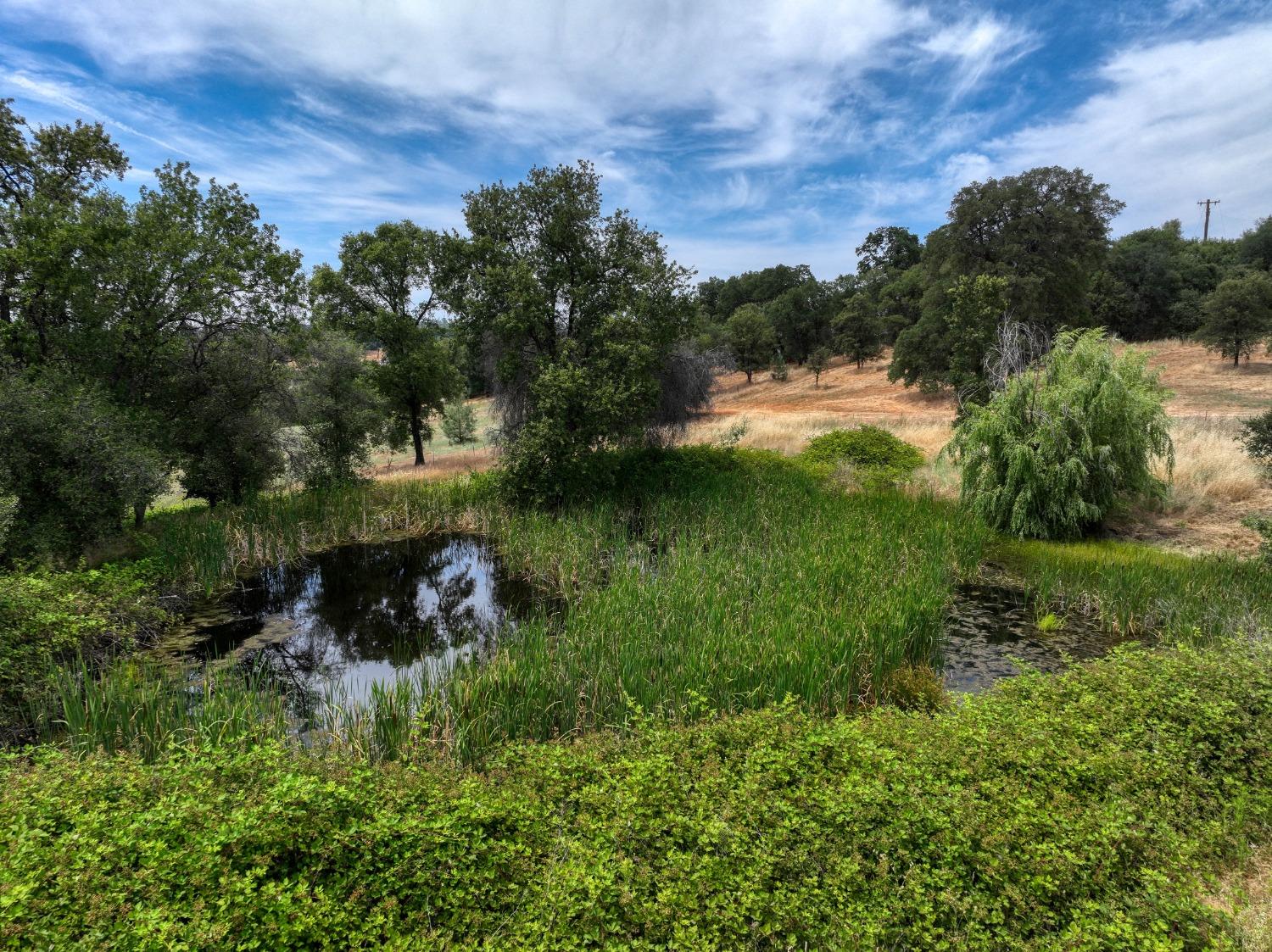 12625 Lone Star Road