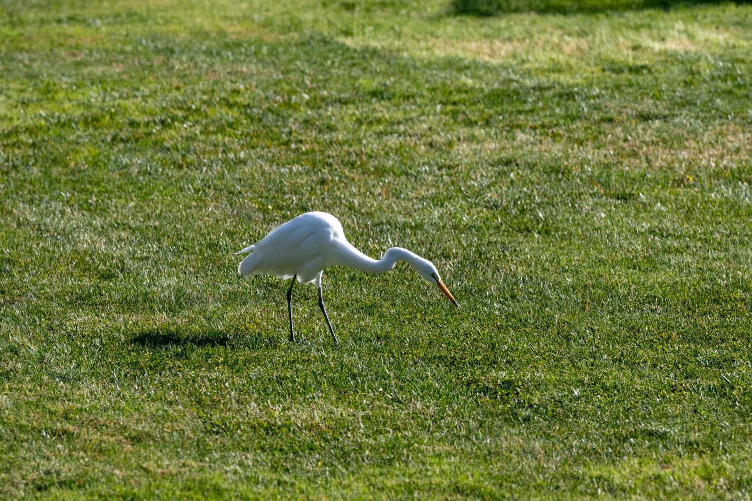 4359 Whispering Oaks Circle