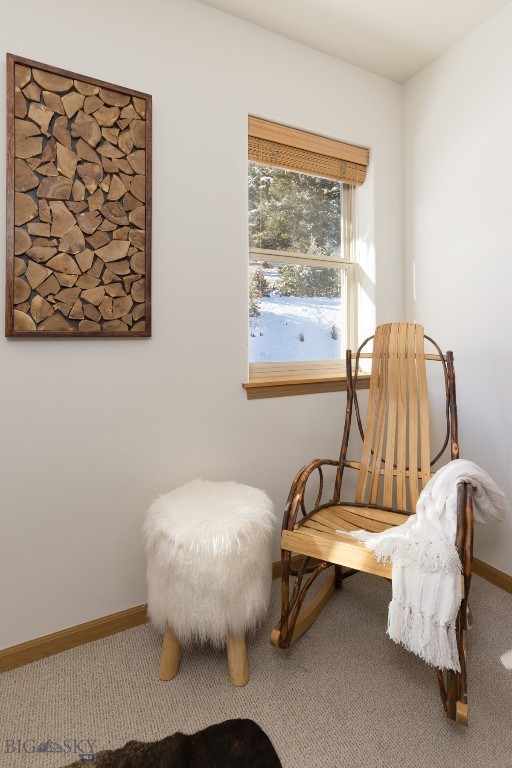 27 Antler Drop Court