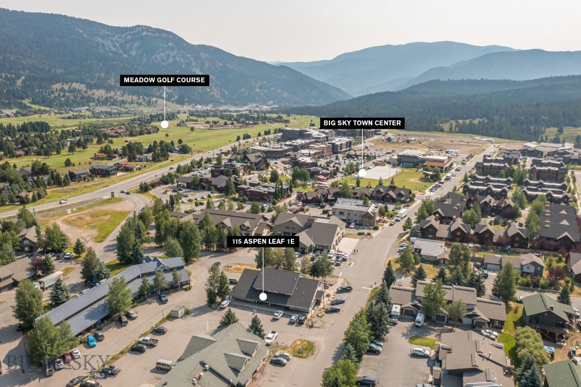 115 Aspen Leaf Drive 1E