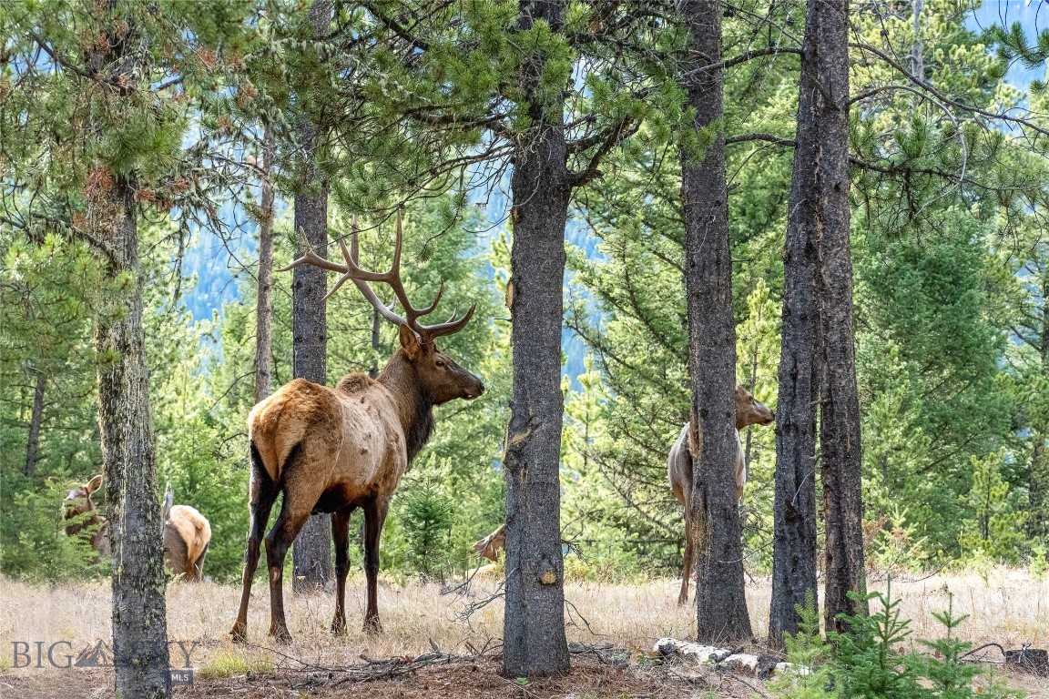 TBD Crown Butte, Lot 88