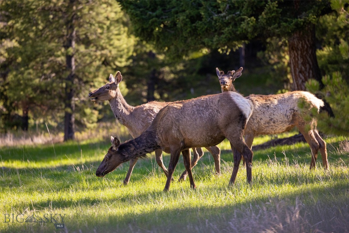 TBD Crown Butte, SPMC Lot 99