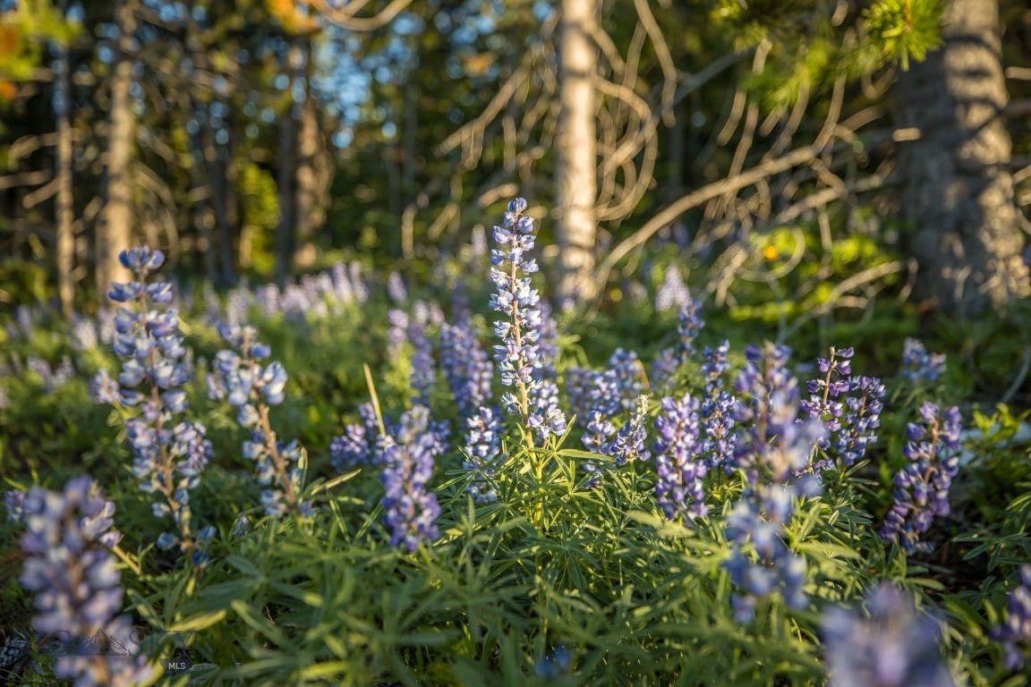 TBD Diamond Hitch Rd, Lot 20