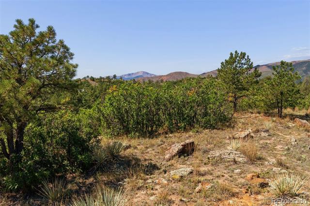 1015 Timber Valley Road