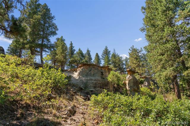 1015 Timber Valley Road