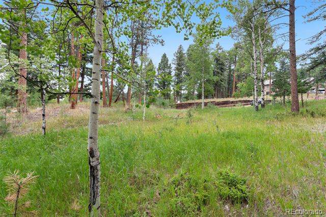 941 Heather Court