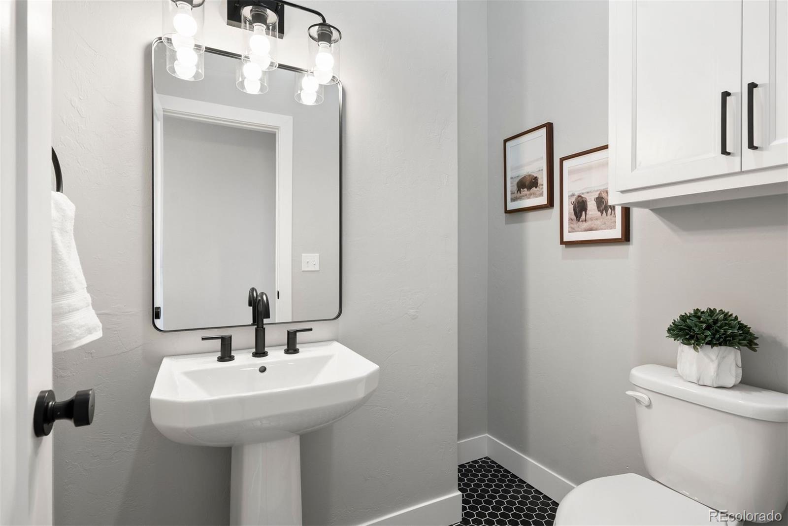 17235 Fairplay Drive