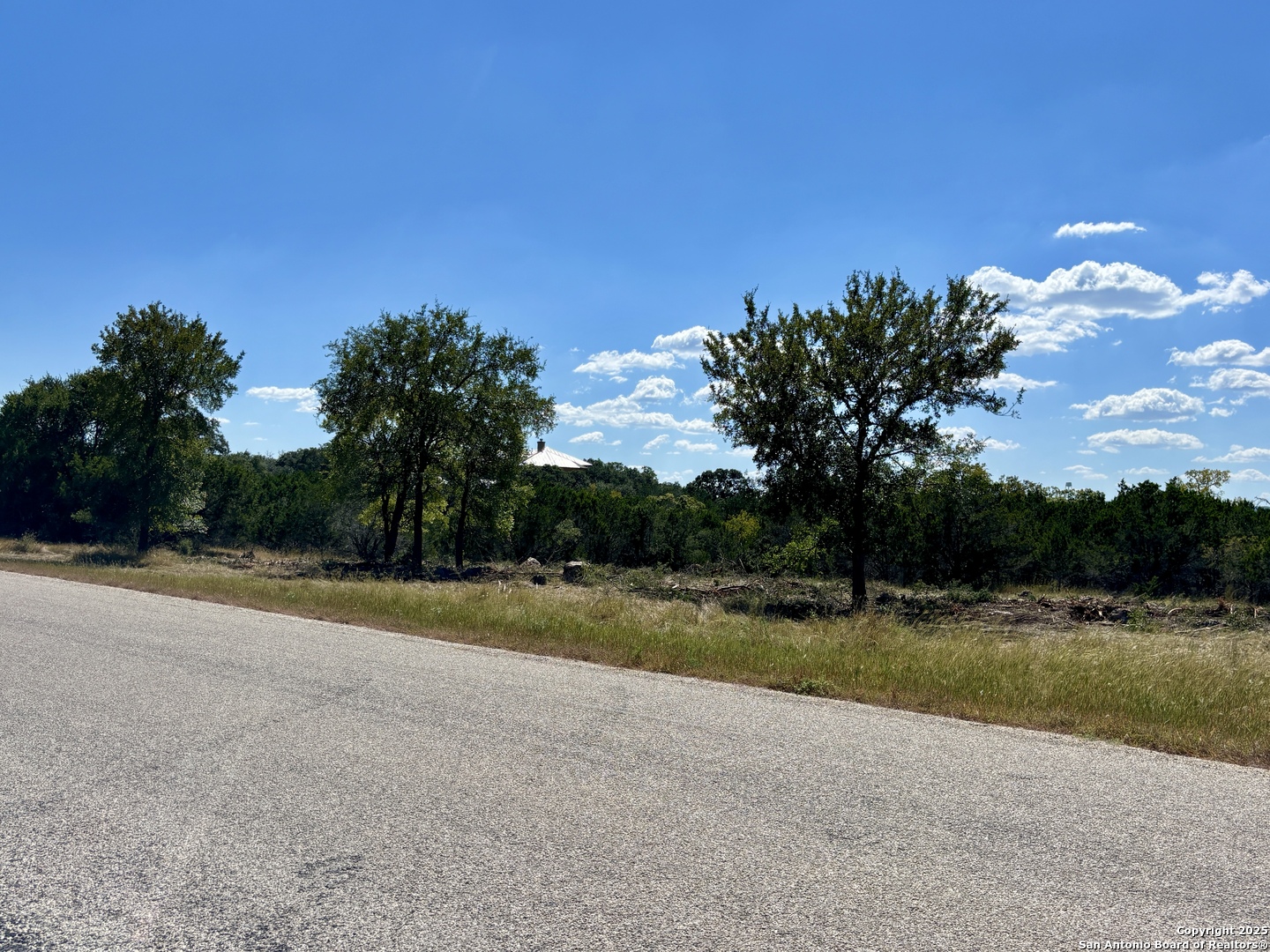 LOT 98 PALOMINO SPRINGS