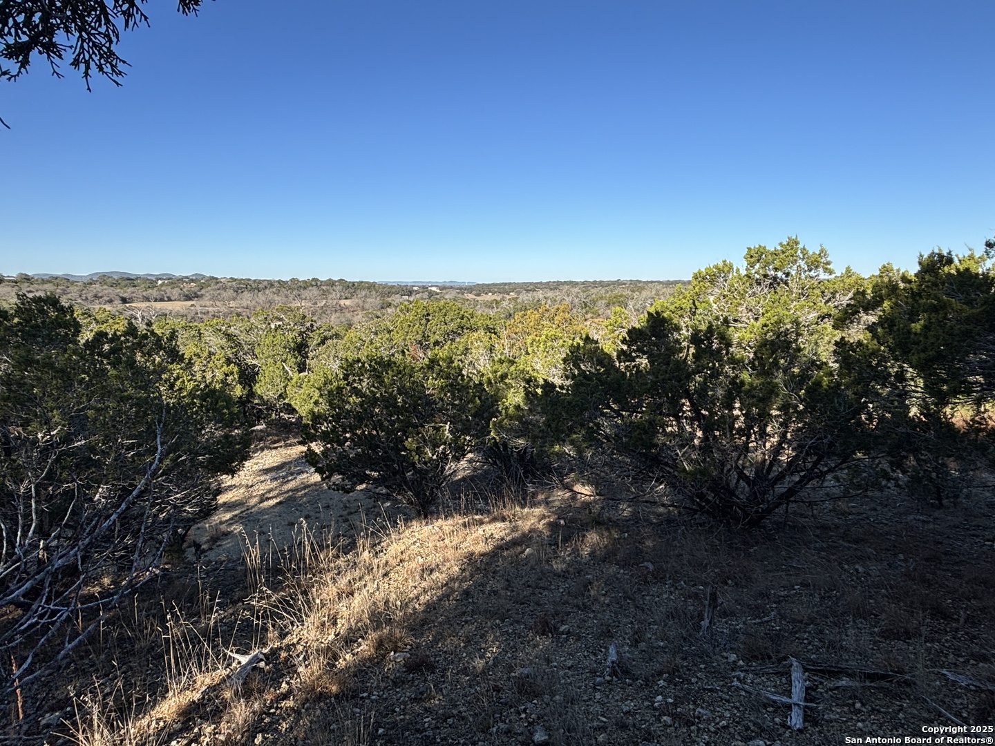 LOT 98 PALOMINO SPRINGS