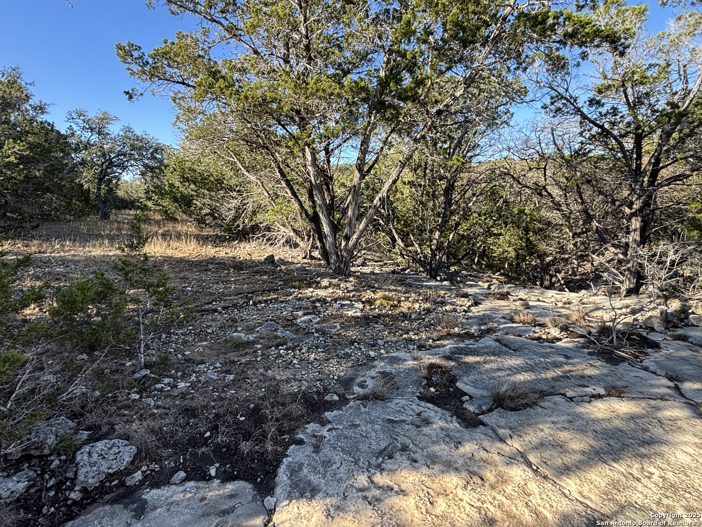 LOT 98 PALOMINO SPRINGS