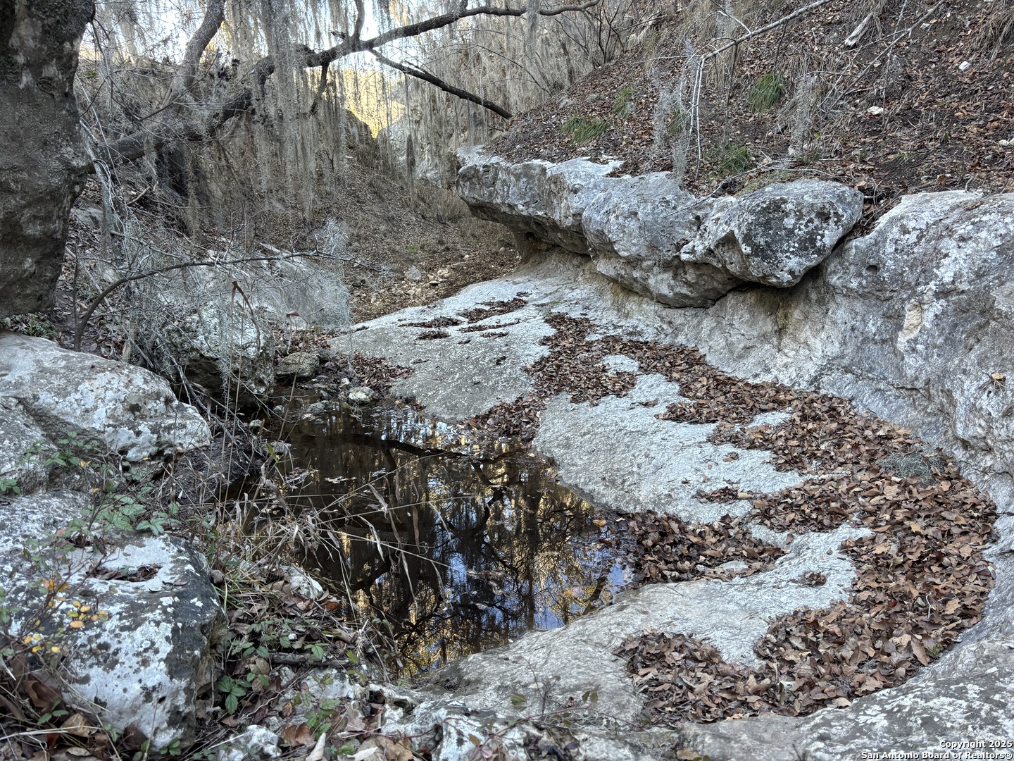 LOT 98 PALOMINO SPRINGS