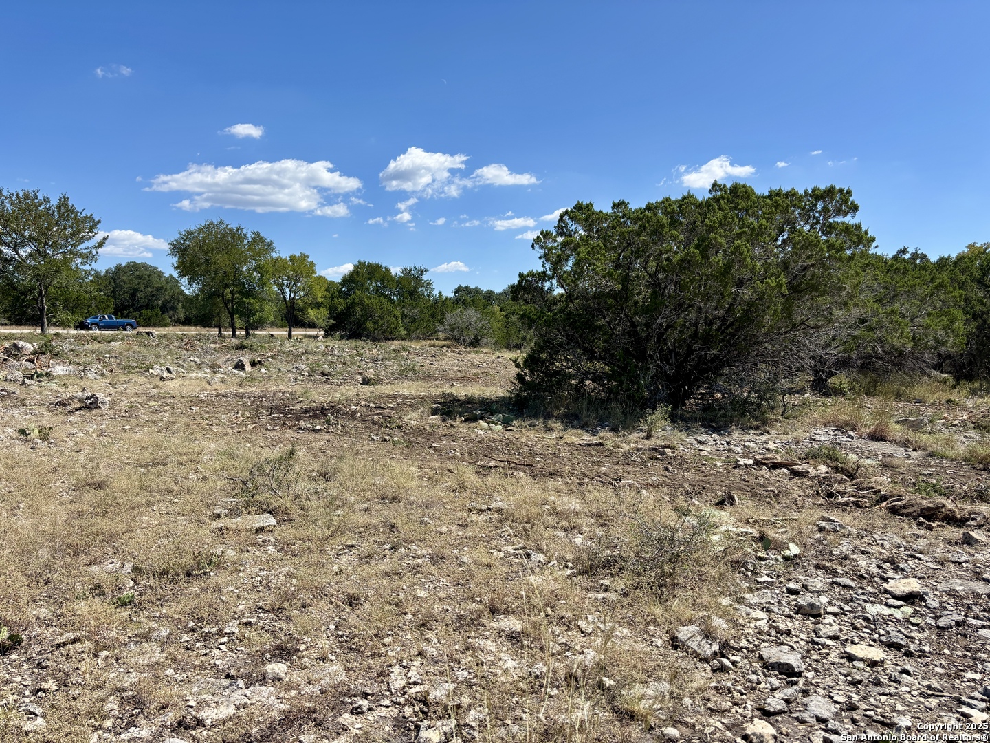 LOT 98 PALOMINO SPRINGS