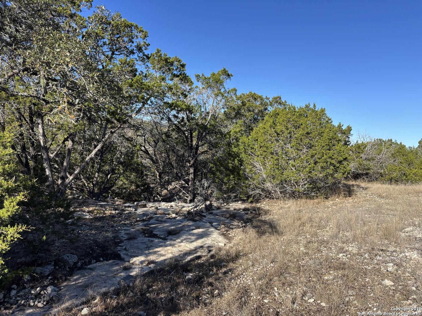 LOT 98 PALOMINO SPRINGS