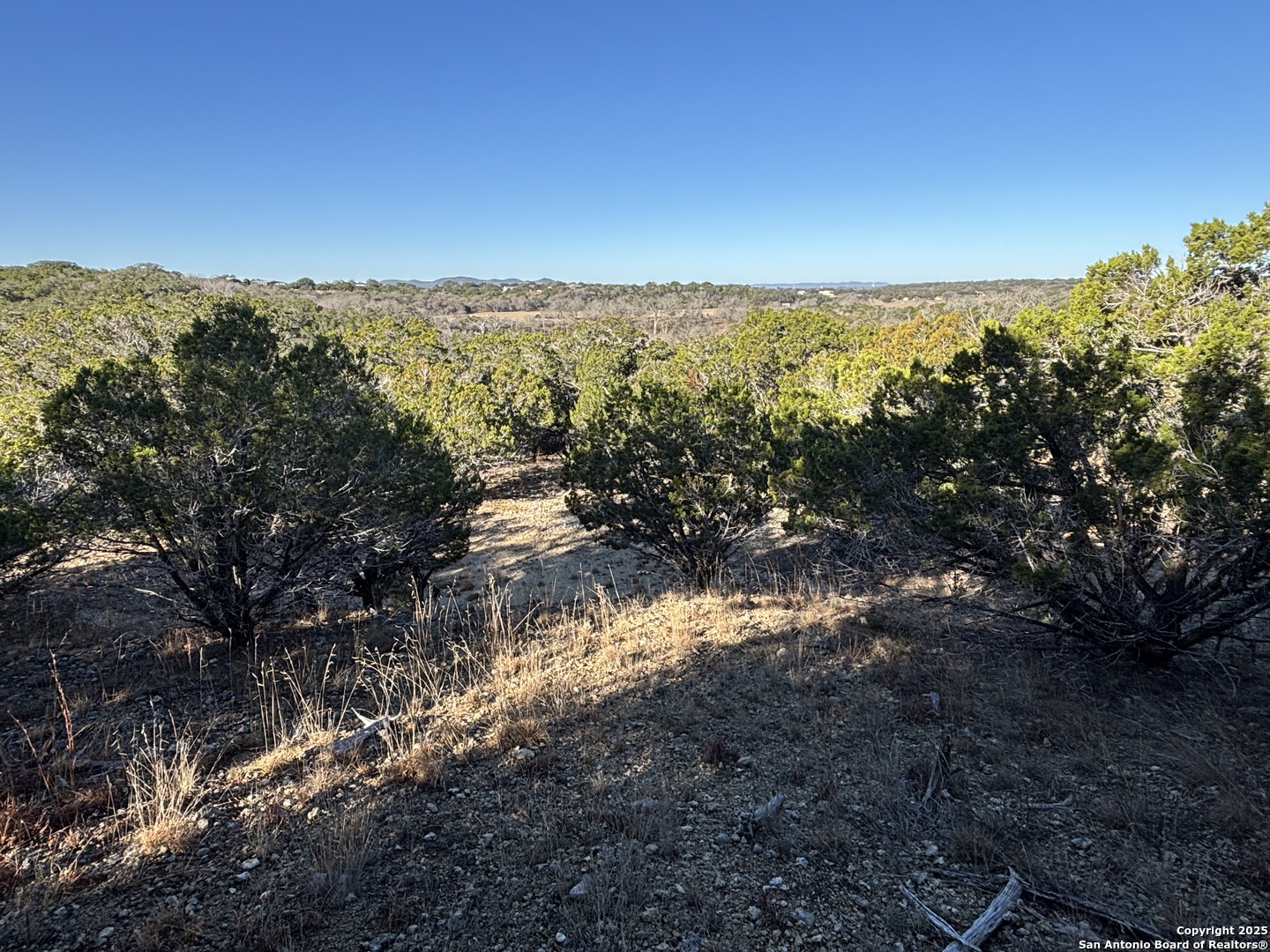 LOT 98 PALOMINO SPRINGS