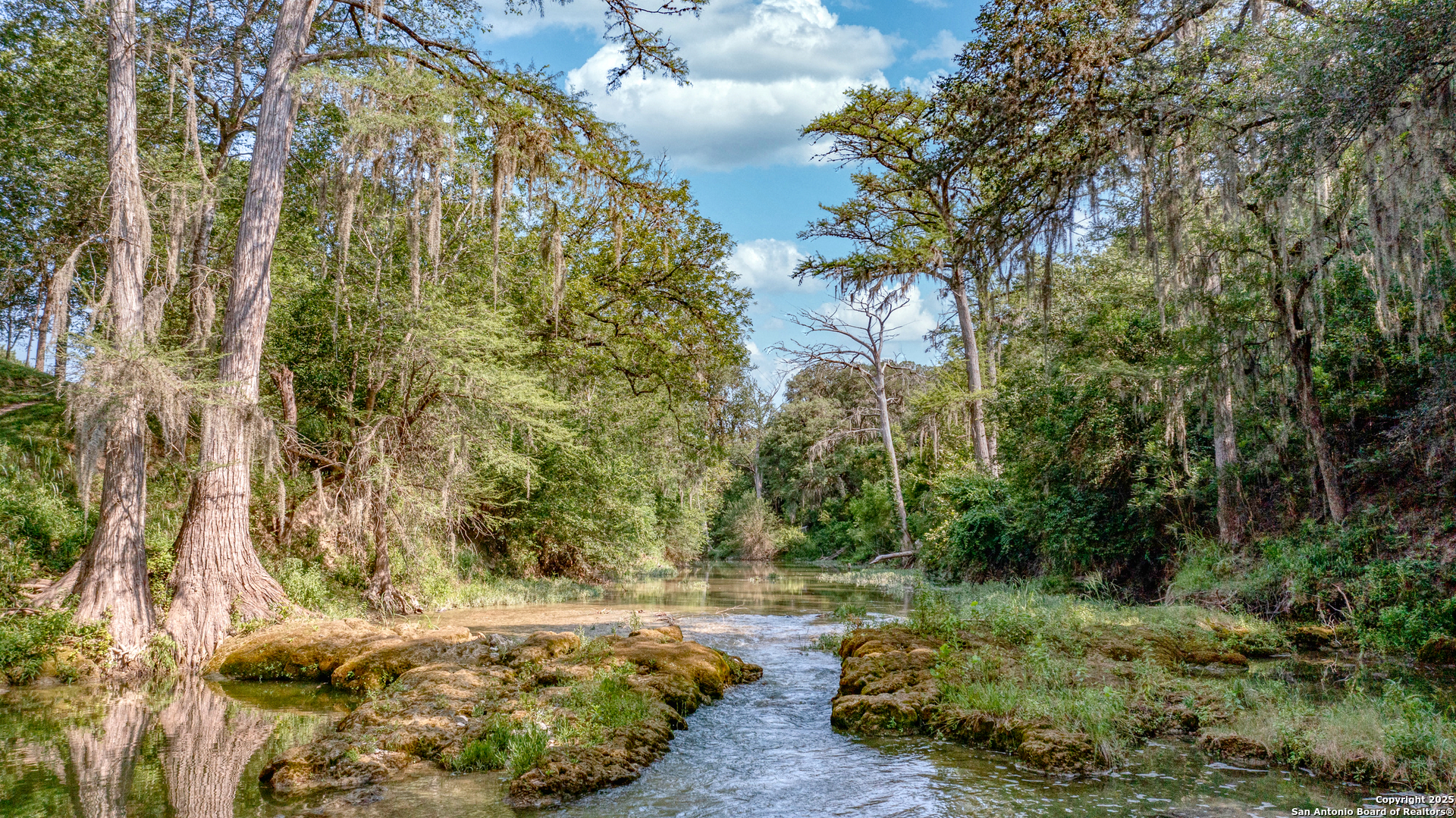 LOT 98 PALOMINO SPRINGS