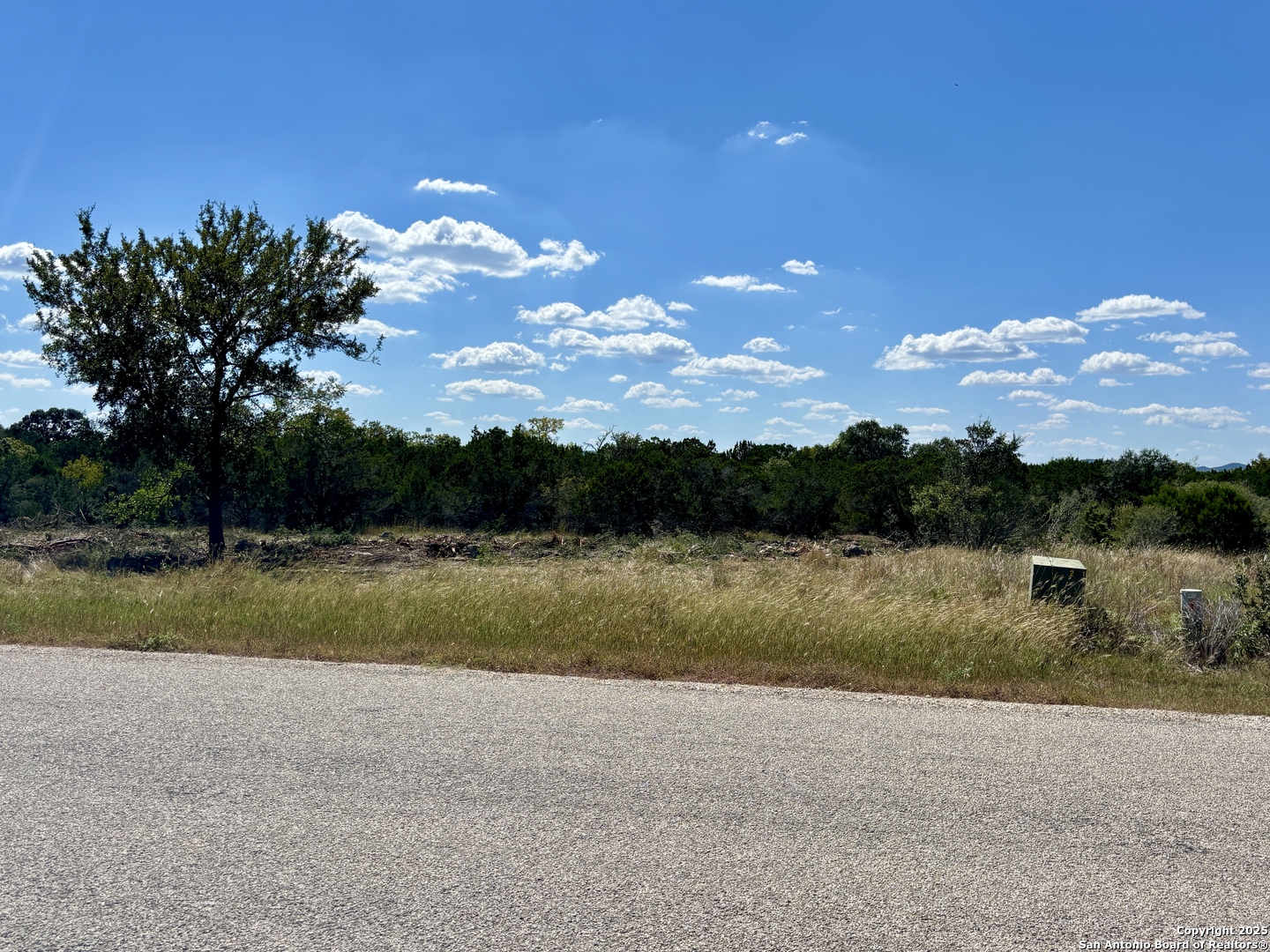 LOT 98 PALOMINO SPRINGS