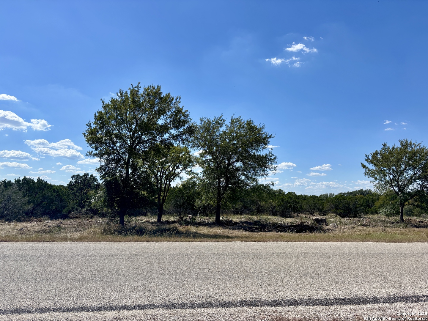 LOT 98 PALOMINO SPRINGS