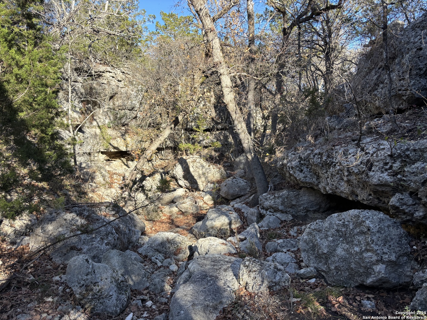 LOT 98 PALOMINO SPRINGS