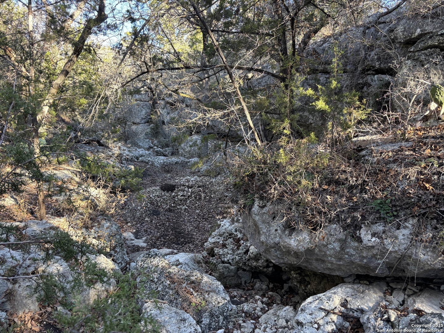 LOT 98 PALOMINO SPRINGS