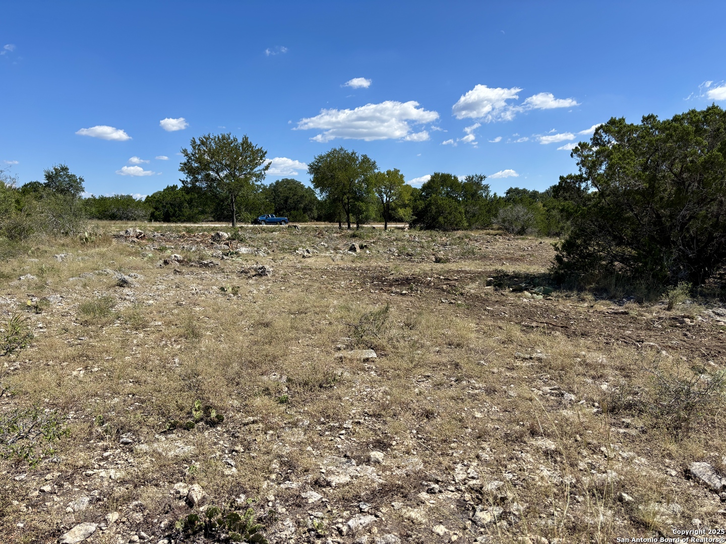 LOT 98 PALOMINO SPRINGS