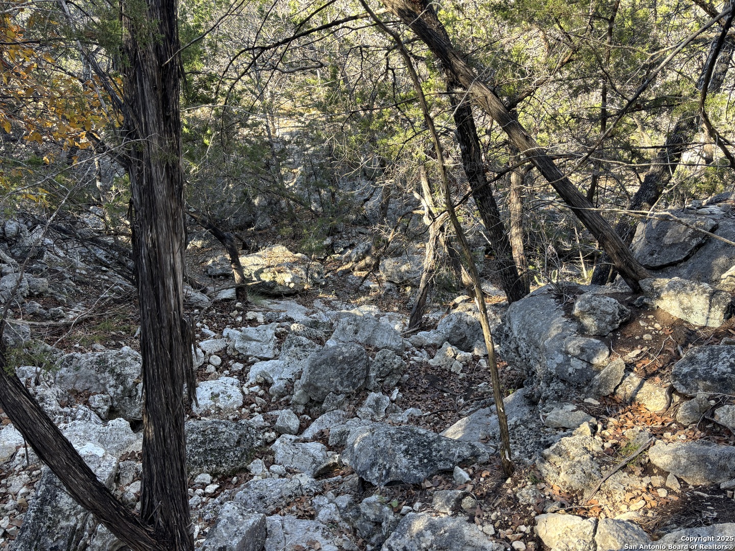 LOT 98 PALOMINO SPRINGS