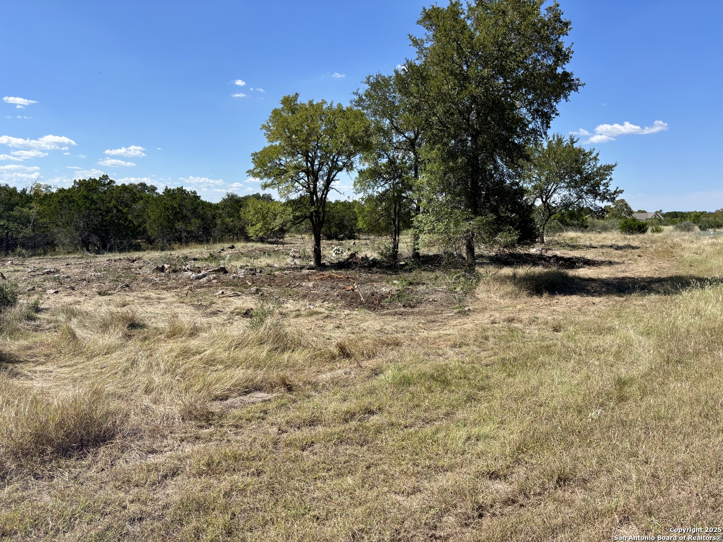 LOT 98 PALOMINO SPRINGS