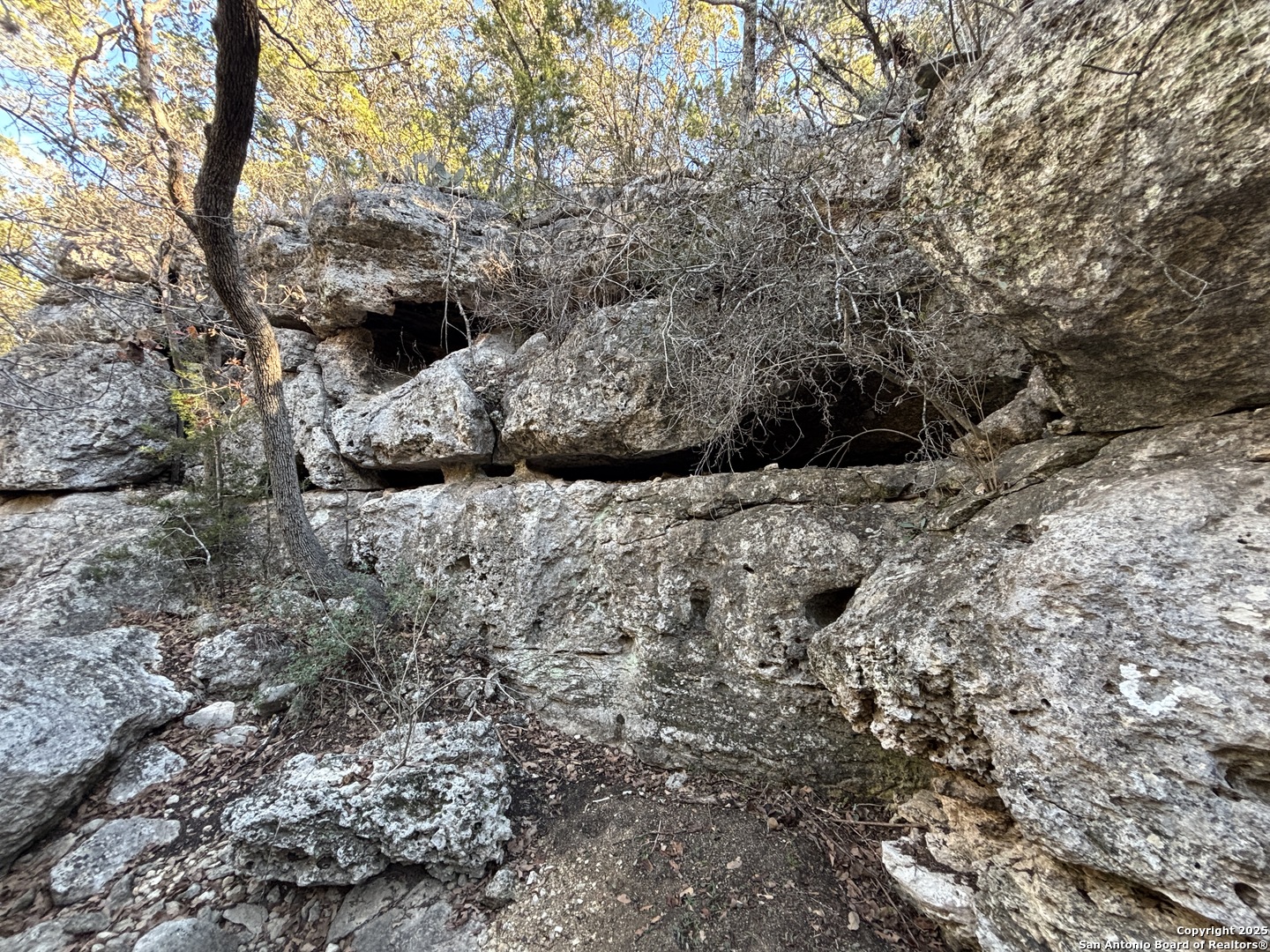 LOT 98 PALOMINO SPRINGS