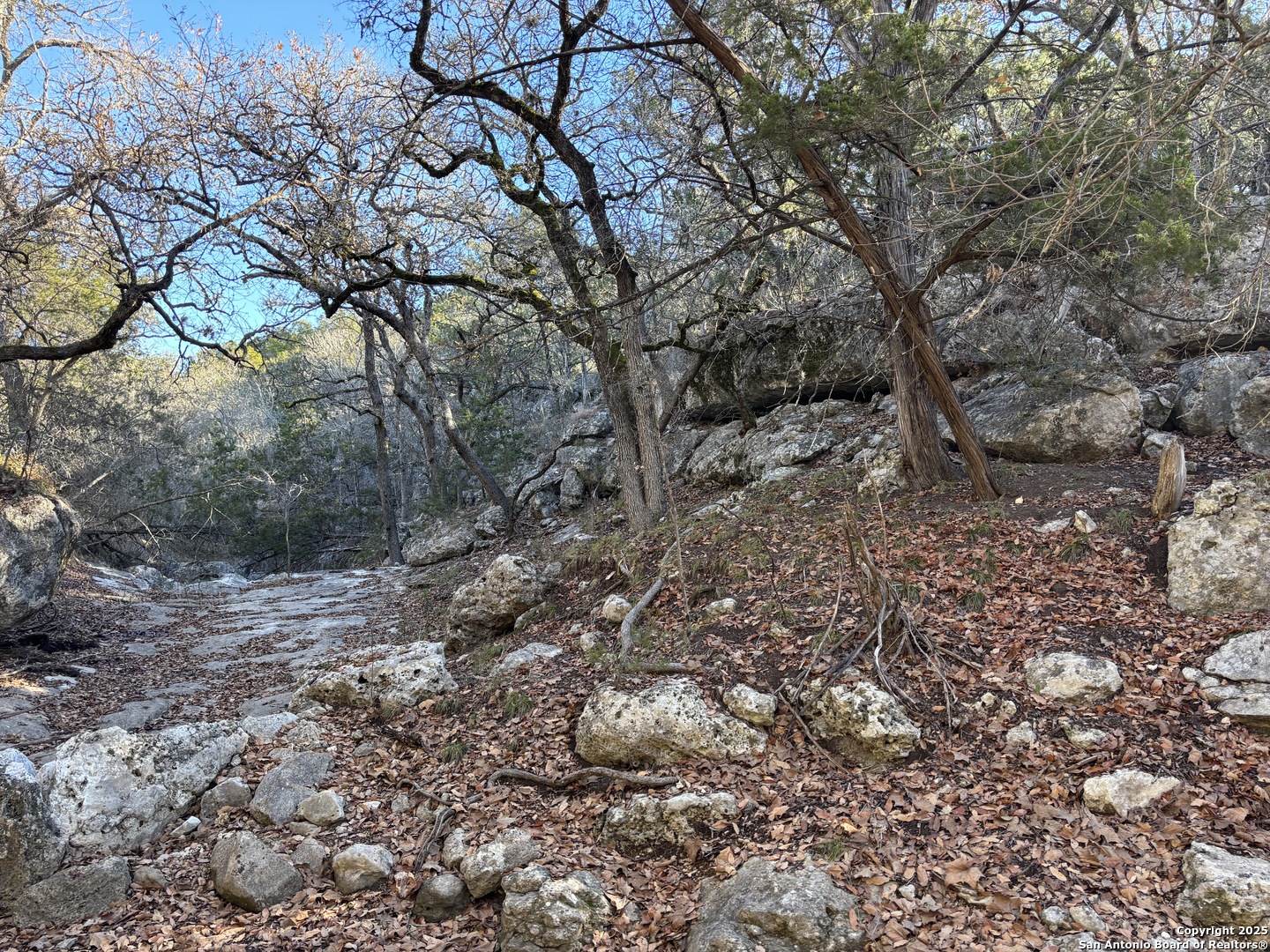 LOT 98 PALOMINO SPRINGS