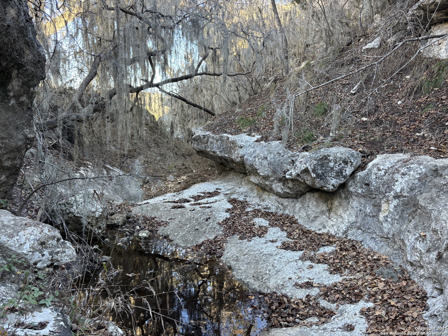 LOT 98 PALOMINO SPRINGS