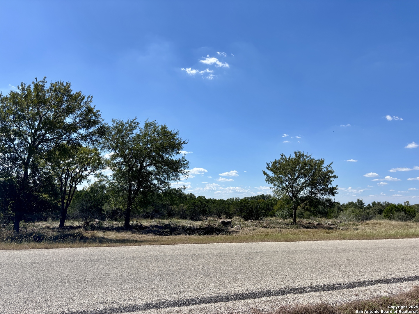 LOT 98 PALOMINO SPRINGS