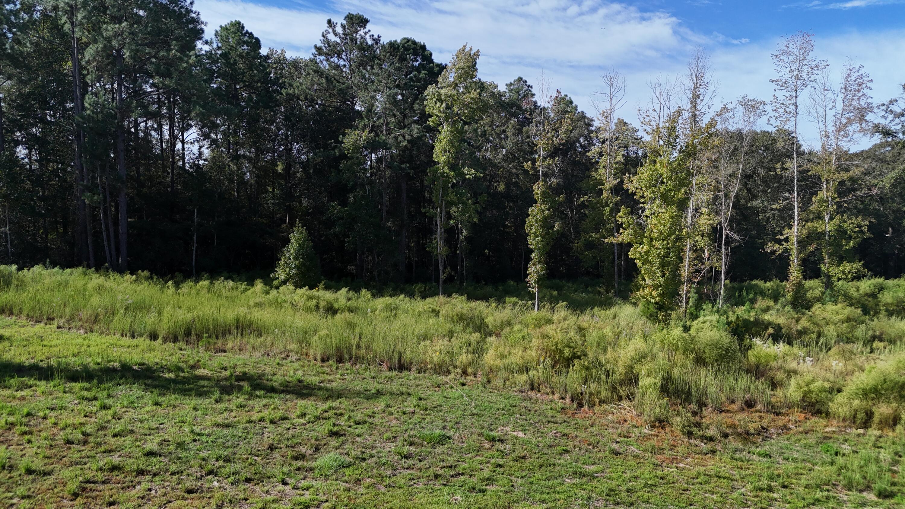 xxx Tall Oaks Road, DeFuniak Springs