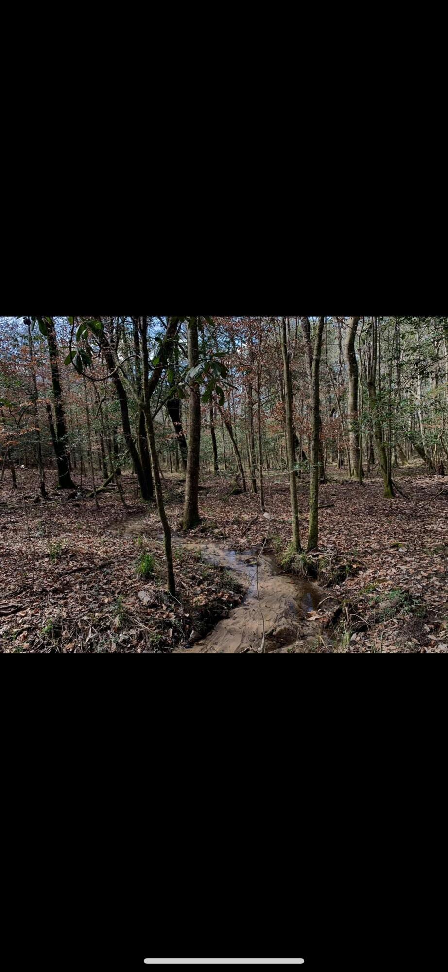 xxx Tall Oaks Road, DeFuniak Springs