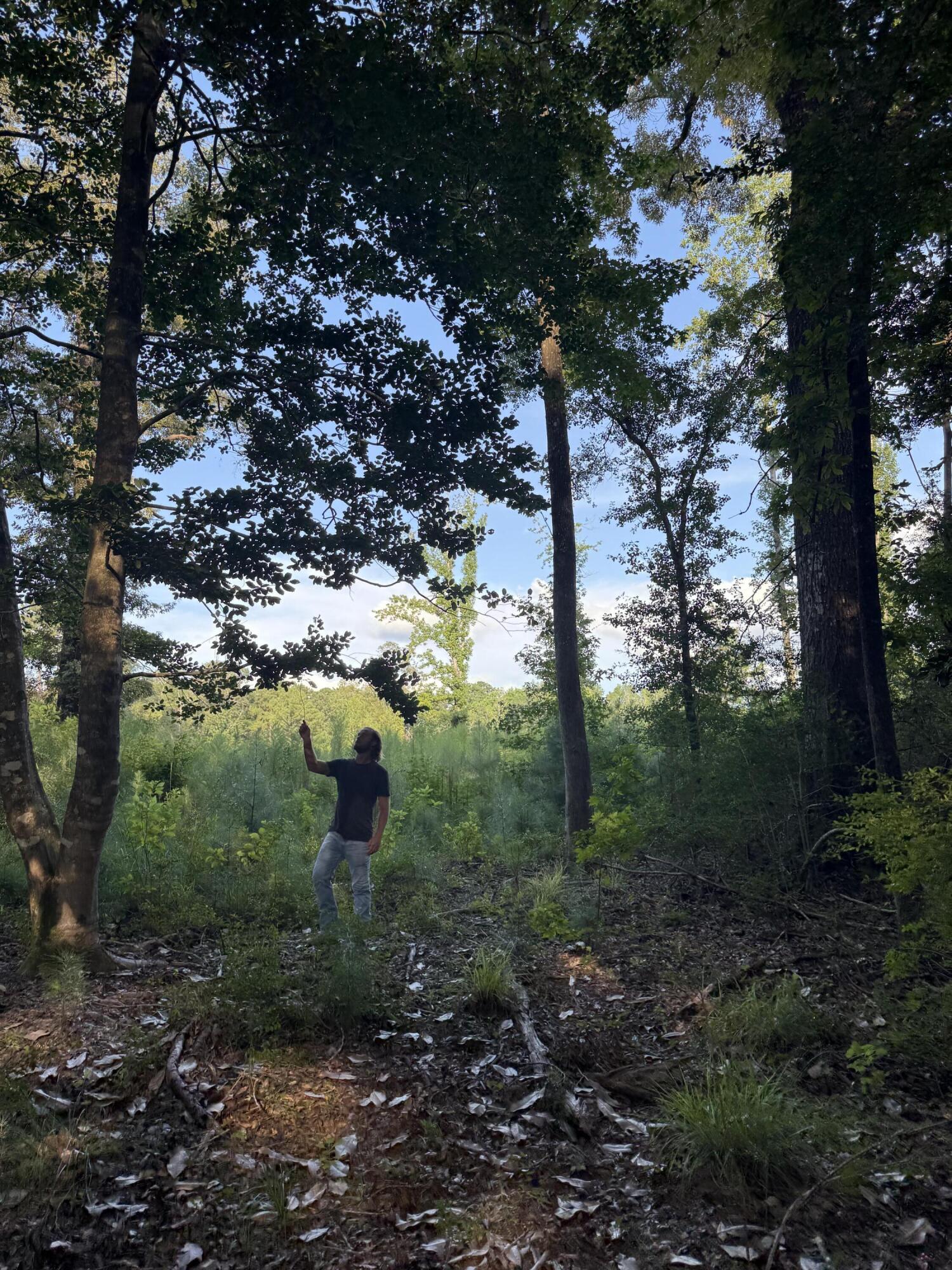 xxx Tall Oaks Road, DeFuniak Springs