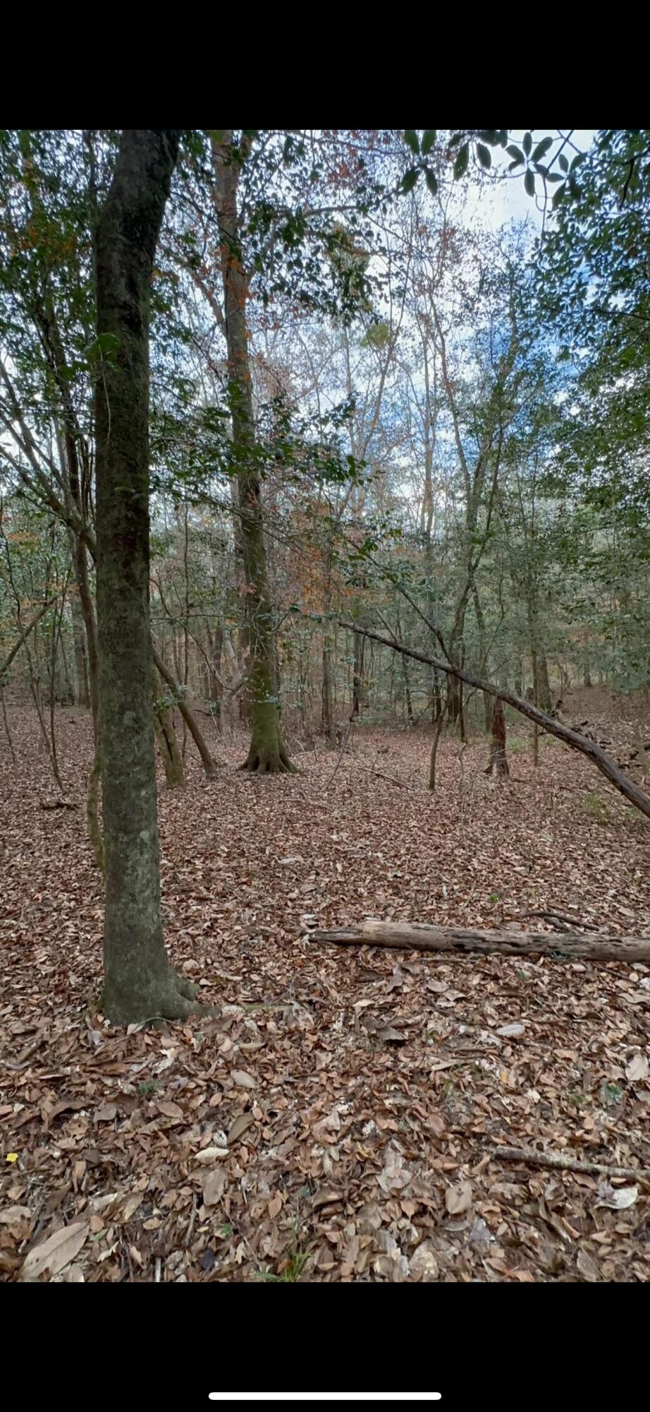 xxx Tall Oaks Road, DeFuniak Springs