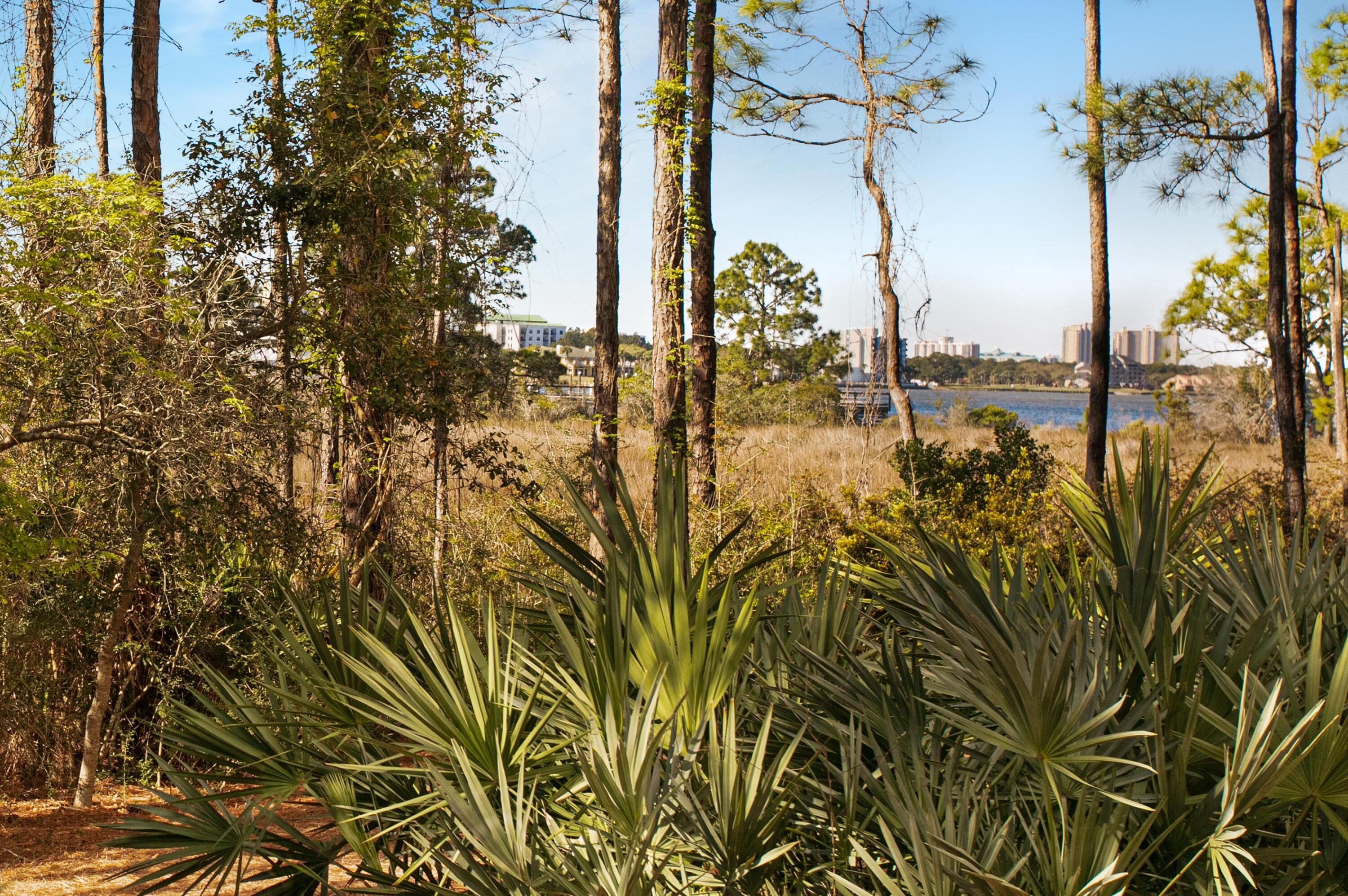 9600 Grand Sandestin Boulevard, 3010