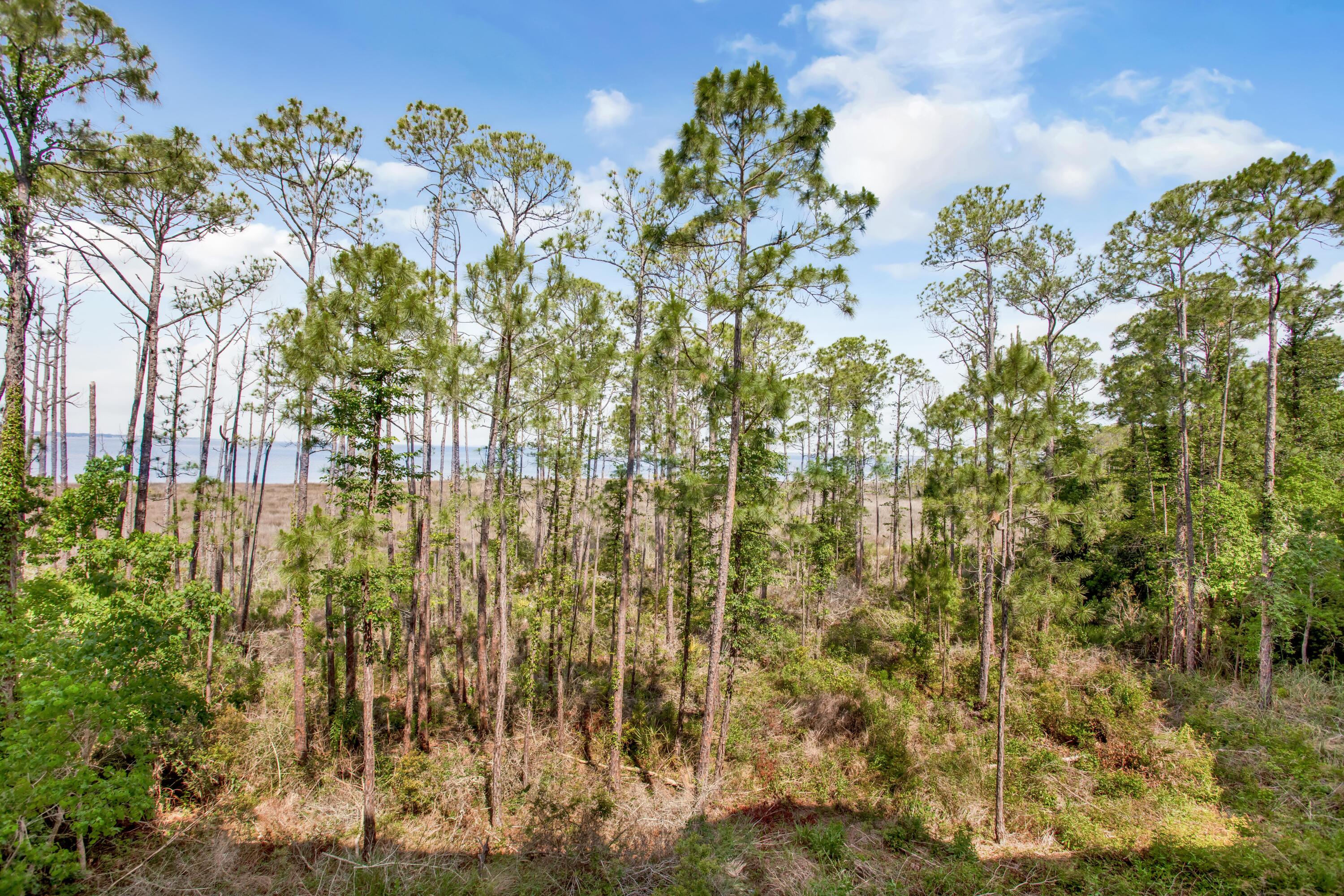9700 Grand Sandestin Boulevard, 4212