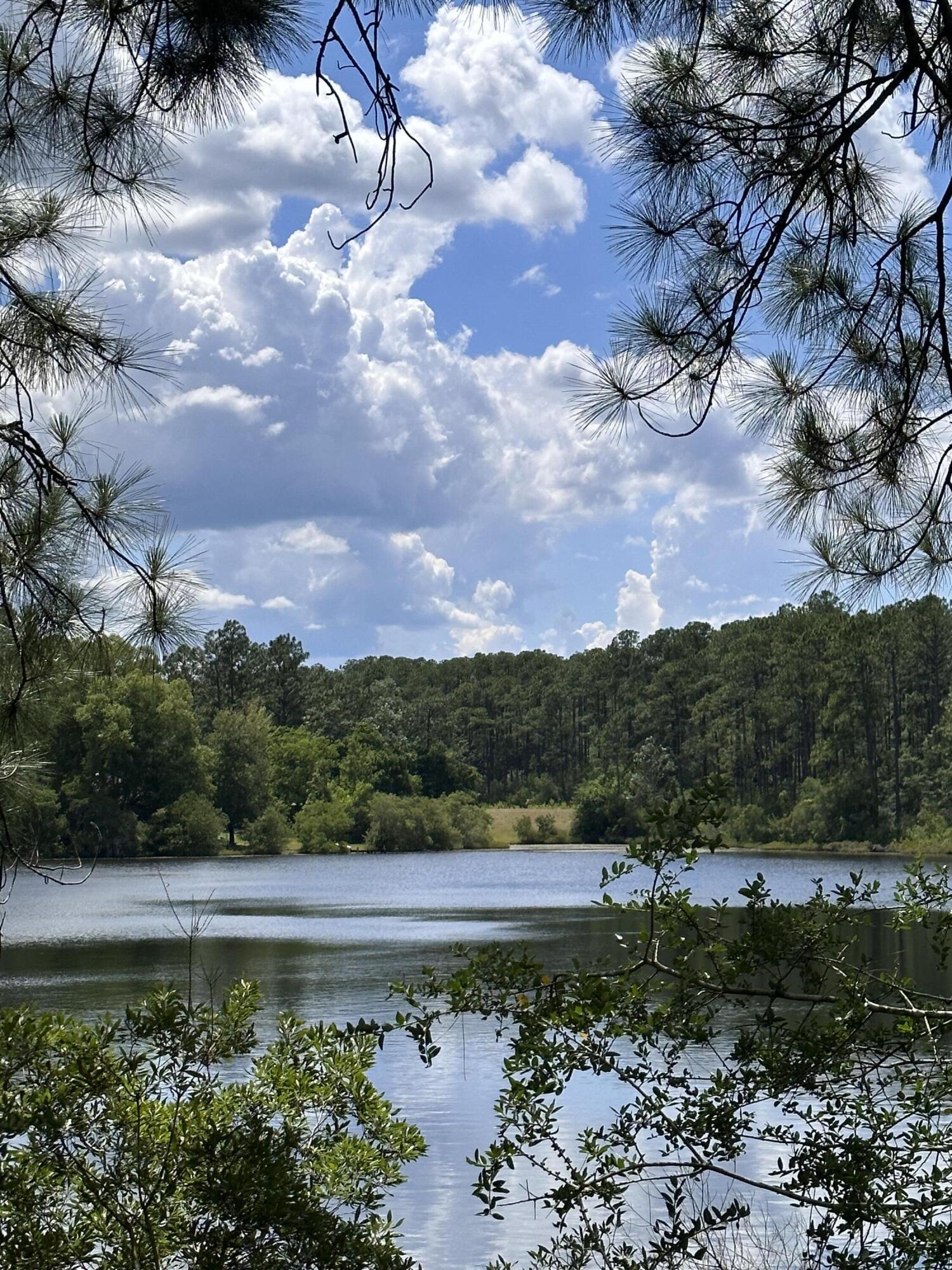 LOT 12 MAGNOLIA LAKE Drive, DeFuniak Springs