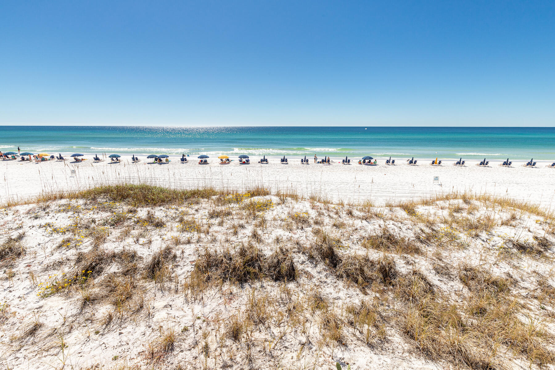 675 Scenic Gulf Drive, 301C