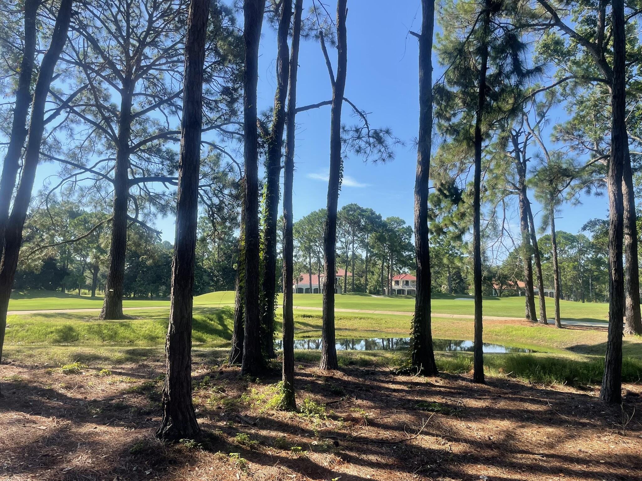 3296 Burnt Pine Lane